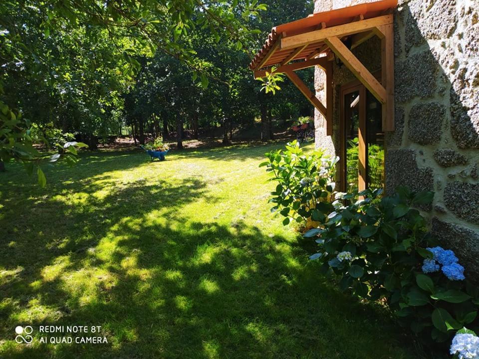 Casas Vale Martinho Bed and Breakfast Santa Comba Dao Eksteriør billede