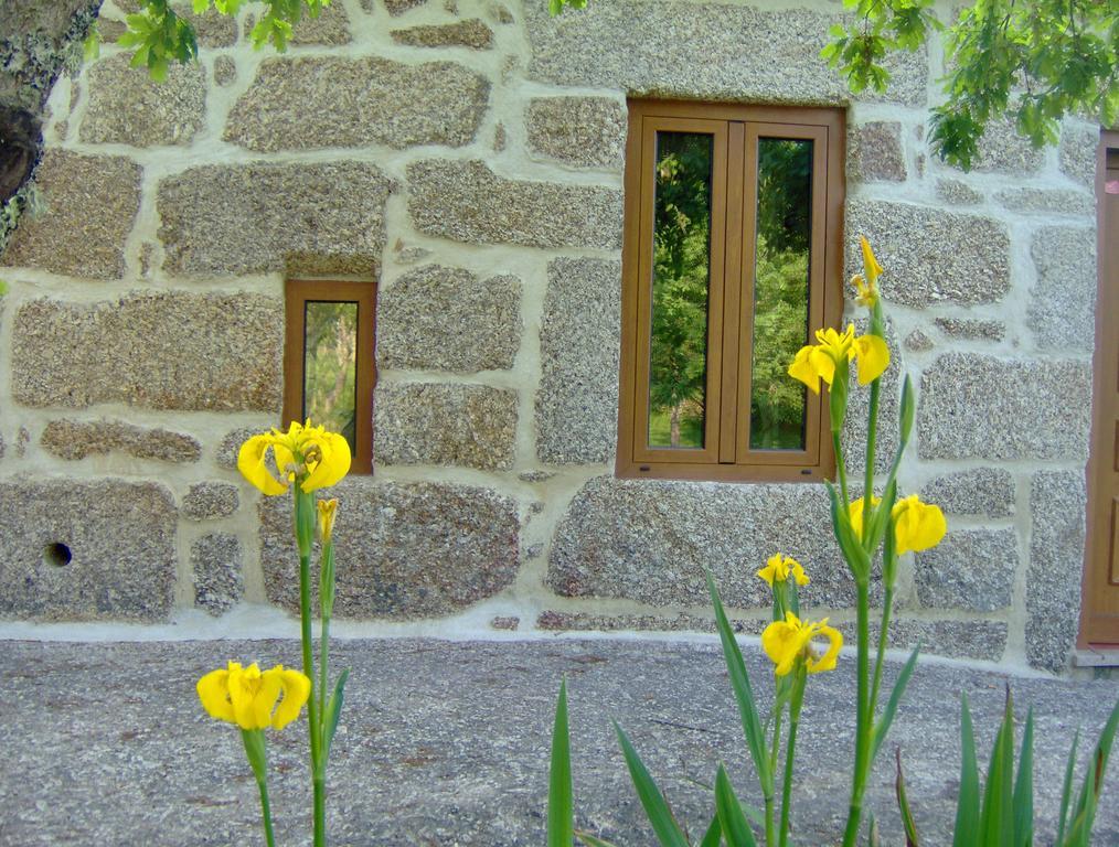 Casas Vale Martinho Bed and Breakfast Santa Comba Dao Eksteriør billede